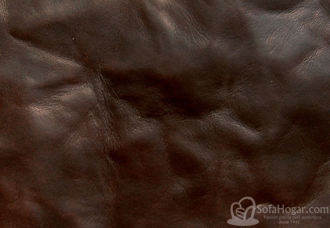 (VAP_61111) MARRON_D