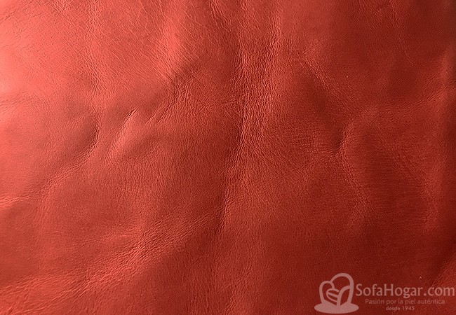 (VAP_61118) ROJO_D