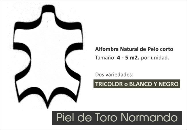 Tamaño 4 - 5 m2. Alfombras naturales