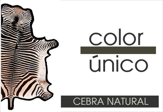 (259) Color: único blanco marrón o blanco negro