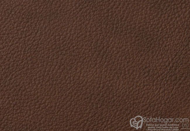 (VRE_41814) COGNAC_B