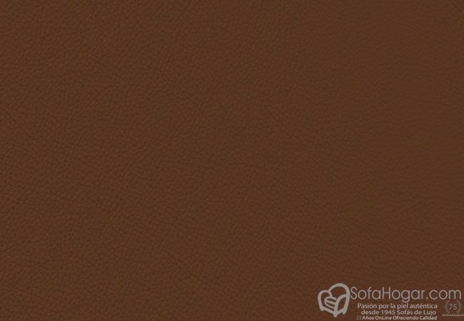 (VPP_51801) AVELLANA_C