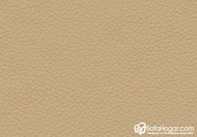 (VRN_31803) BEIGE_A EDIC ESPECIAL