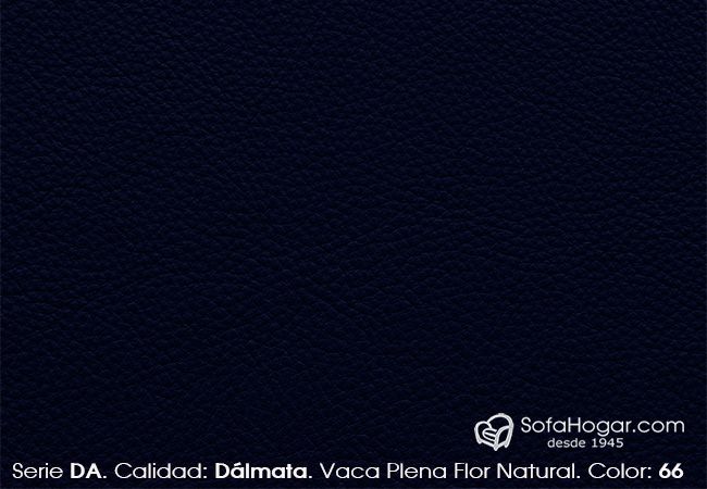 (VDA_61866) COLOR_66_DA