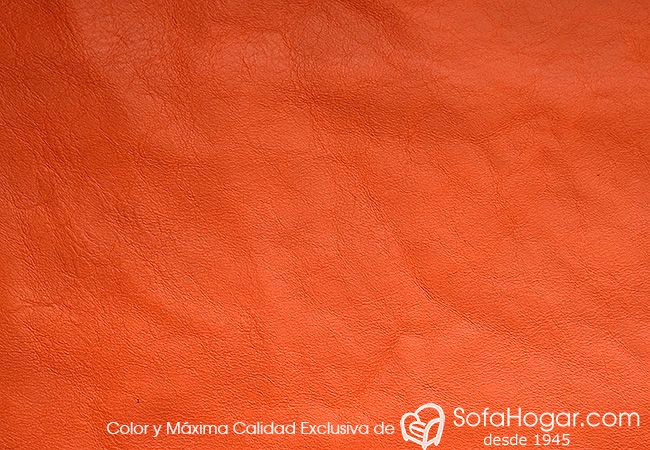 (VAP_61131_N) CALABAZA_D